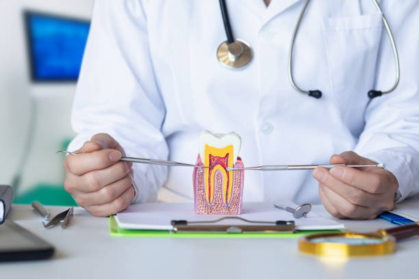 Best Emergency Tooth Extraction in North Pearsall, TX